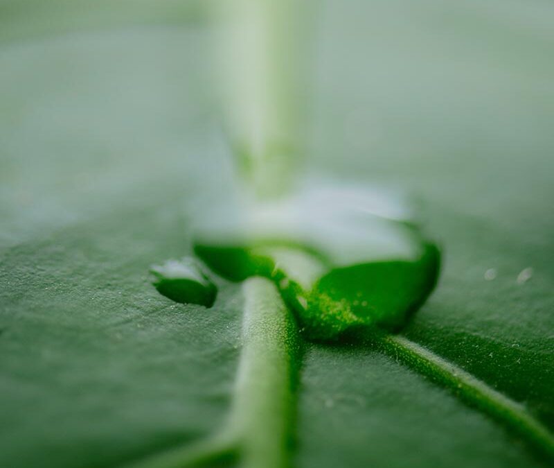 Beneficios de instalar plantas de tratamiento de aire en edificios corporativos